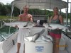 (08/06/2016) - Nice Striped Bass